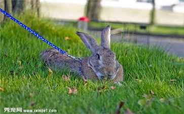 电商平台升级案例