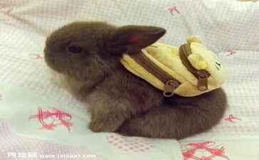 金融系统开发案例