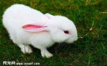 华夏天下知识产权运营有限公司