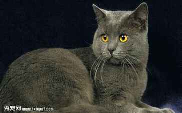 华夏天下知识产权运营有限公司