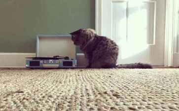 天津嘉悦汽车销售有限公司