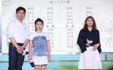 如皋双盈再生资源有限公司