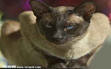 如皋双盈再生资源有限公司