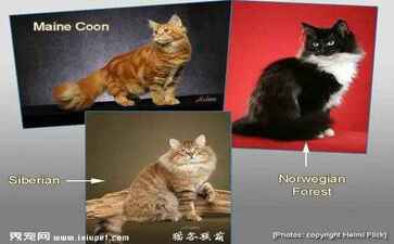 如皋双盈再生资源有限公司