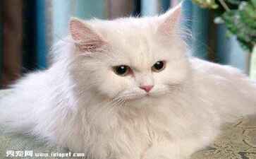 山西凝柏商贸有限公司