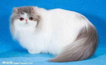 医疗系统集成案例