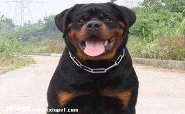 医疗系统集成案例