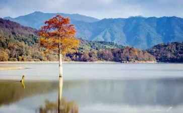 盘县采械健身有限公司