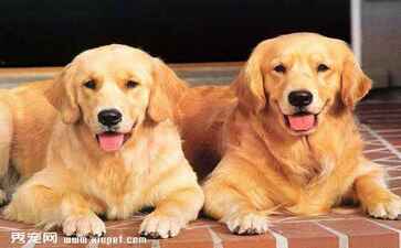 东莞市精选企业管理服务有限公司