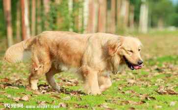 绍兴市精创机械有限公司