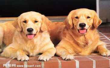 电商平台升级案例