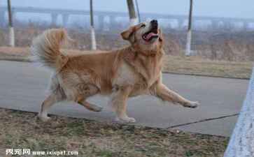 陕西家居乐装饰装修工程有限公司