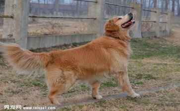 金融系统开发案例