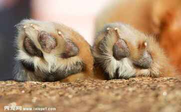 三易(大连)传媒发展有限公司