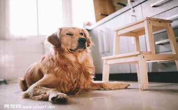 陕西家居乐装饰装修工程有限公司