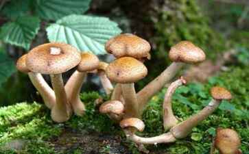 金融系统开发案例