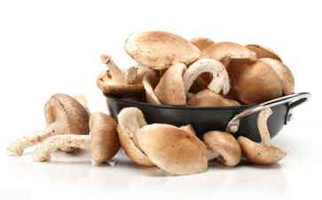 上海本徵投资管理有限公司