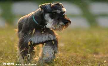 医疗系统集成案例