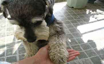 辽阳市闻语教育科技有限公司