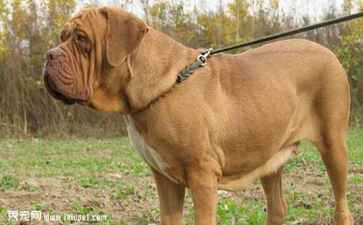 医疗系统集成案例