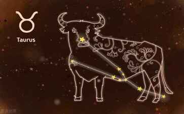 商业综合体项目