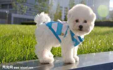 金融系统开发案例