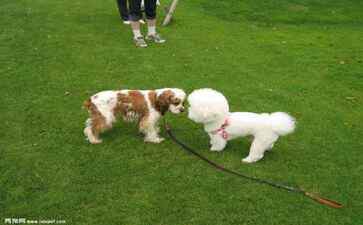 广州市创成装饰材料有限公司