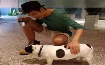 上海捷智文化传媒有限公司