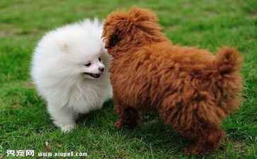 电商平台升级案例