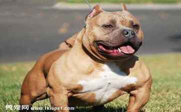 医疗系统集成案例