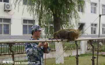 北京沐羽科技有限公司