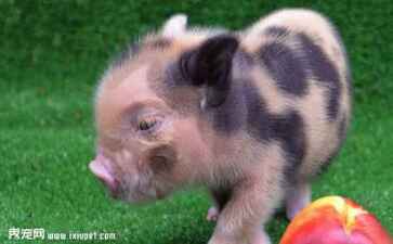 医疗系统集成案例