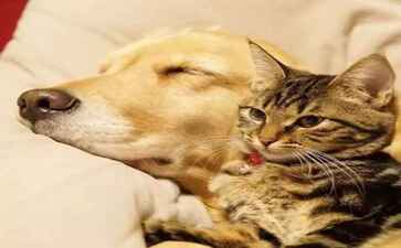 上海鸿博盛钢结构工程有限公司