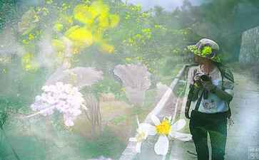 金融系统开发案例