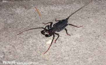 上海鸿博盛钢结构工程有限公司