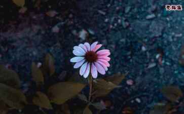 洛阳昶兴建筑劳务有限公司