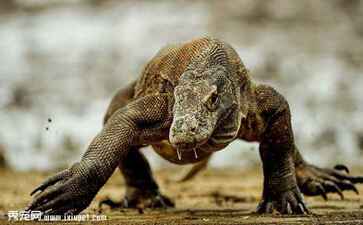 禹州市长庚新材料有限公司