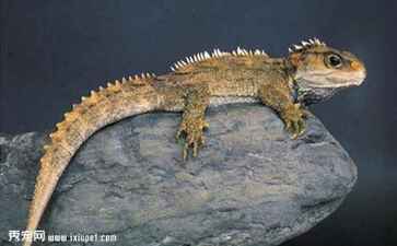 保定市莲池区膳品坊小吃部