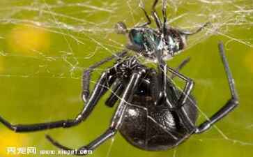 保定市莲池区膳品坊小吃部