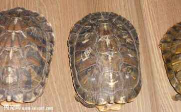 电商平台升级案例