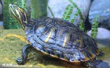 金融系统开发案例