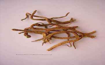 湘潭阿拉丁文化传媒有限公司