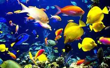 北京清友时代信息技术有限公司