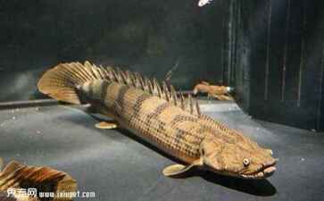 江苏名通信息科技有限公司