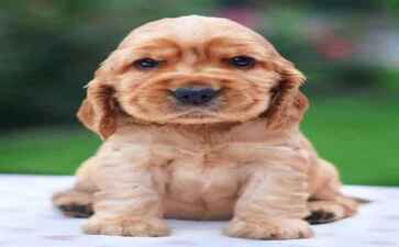 北京清友时代信息技术有限公司