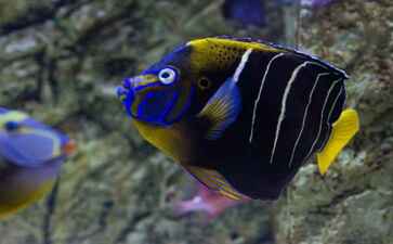 金融系统开发案例