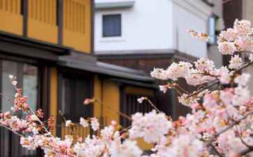 北京天震信息技术有限公司