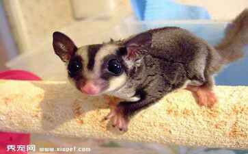 无锡富谊品味装饰有限公司