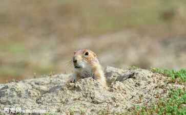 金融系统开发案例