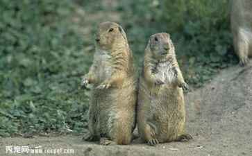 金融系统开发案例